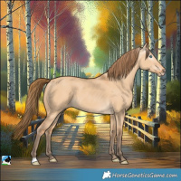 Horse Color:Gray Perlino Dun 