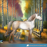 Horse Color:Gray Red Dun 