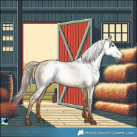 Horse Color:Gray Red Dun 