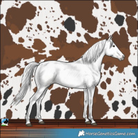 Horse Color:Gray Red Dun 