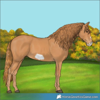 Horse Color:Chestnut Frame 