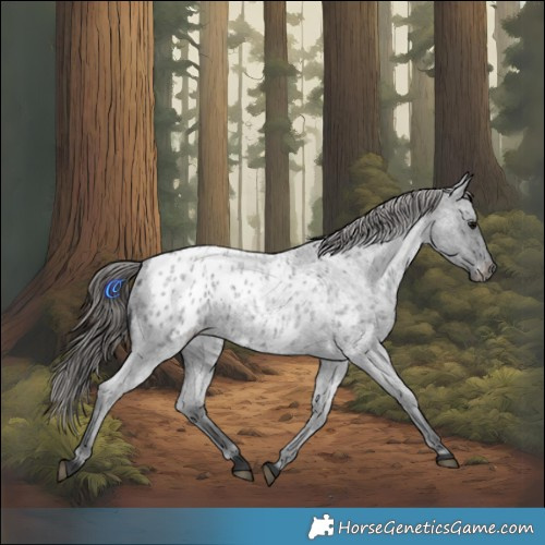 Horse Color:Blue Roan Blanket