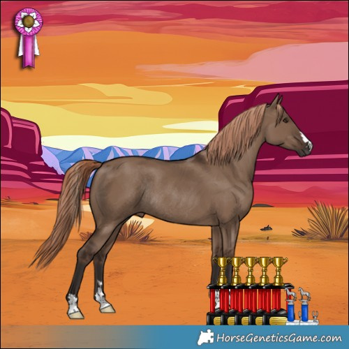 Horse Color:Liver Red Dun Rabicano 