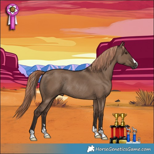 Horse Color:Liver Red Dun Rabicano 