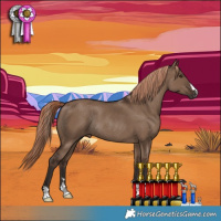 Horse Color:Liver Red Dun Rabicano 