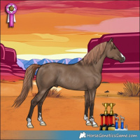 Horse Color:Liver Red Dun Rabicano 