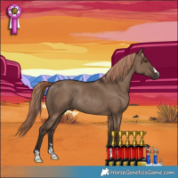 Horse Color:Liver Red Dun Rabicano