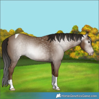 Horse Color:Gray Classic Champagne Tobiano 