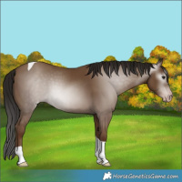 Horse Color:Gray Classic Champagne Tobiano