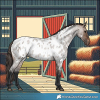 Horse Color:Brown Roan Dun Near Leopard 