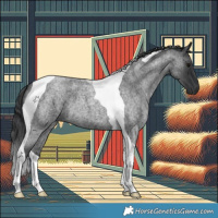 Horse Color:Blue Roan Tobiano 