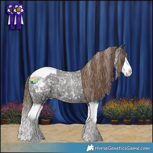 Horse Color:Liver Red Roan Sabino Splash Appaloosa 