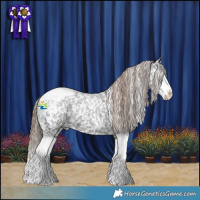 Horse Color:Liver Red Roan Sabino Splash Appaloosa 