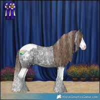 Horse Color:Liver Red Roan Sabino Splash Appaloosa 