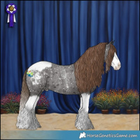 Horse Color:Liver Red Roan Sabino Splash Appaloosa