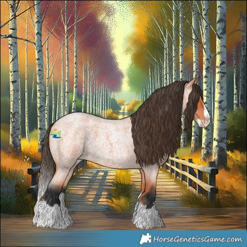 Horse Color:Bay Roan Splash 