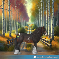 Horse Color:Brown Splash Tobiano
