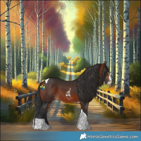 Horse Color:Brown Splash Tobiano