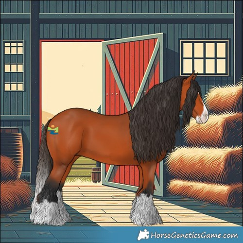 Horse Color:Bay Splash 