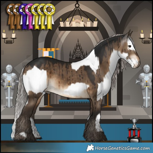 Horse Color:White Spotted Bay  and Gray Silver Bay Dun Brindle 