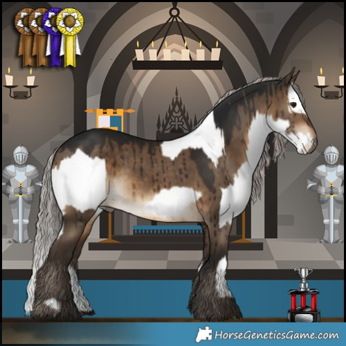 Horse Color:White Spotted Bay  and Gray Silver Bay Dun Brindle 
