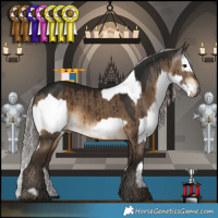Horse Color:White Spotted Bay  and Gray Silver Bay Dun Brindle 
