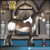 Horse Color:White Spotted Bay  and Gray Silver Bay Dun Brindle 