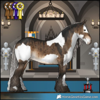 Horse Color:White Spotted Bay and Gray Silver Bay Dun Brindle