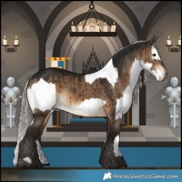 Horse Color:White Spotted Bay  and Gray Silver Bay Dun Brindle 