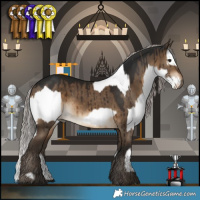 Horse Color:White Spotted Bay and Gray Silver Bay Dun Brindle