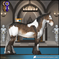 Horse Color:White Spotted Bay  and Gray Silver Bay Dun Brindle 