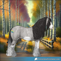 Horse Color:Smoky Grullo Roan Splash Frame 