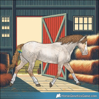 Horse Color:Bay Roan Pearl Dun Splash 