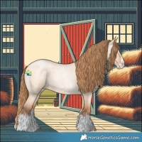 Horse Color:Bay Roan Pearl Dun Splash 