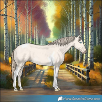 Horse Color:Perlino Dun Tobiano 