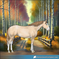 Horse Color:Buckskin Pearl Splash 