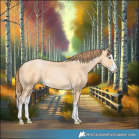 Horse Color:Buckskin Pearl Splash