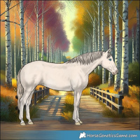 Horse Color:Perlino 