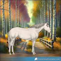 Horse Color:Perlino 