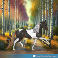 Horse Color:Liver Chestnut Tobiano 