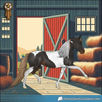 Horse Color:Liver Chestnut Tobiano