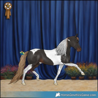 Horse Color:Liver Chestnut Tobiano 