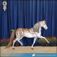 Horse Color:Gray White Spotted Chestnut 