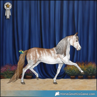 Horse Color:Gray White Spotted Chestnut 