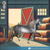 Horse Color:Gray Liver Chestnut 