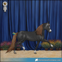 Horse Color:Gray Liver Chestnut