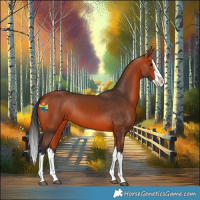 Horse Color:Bay Splash 