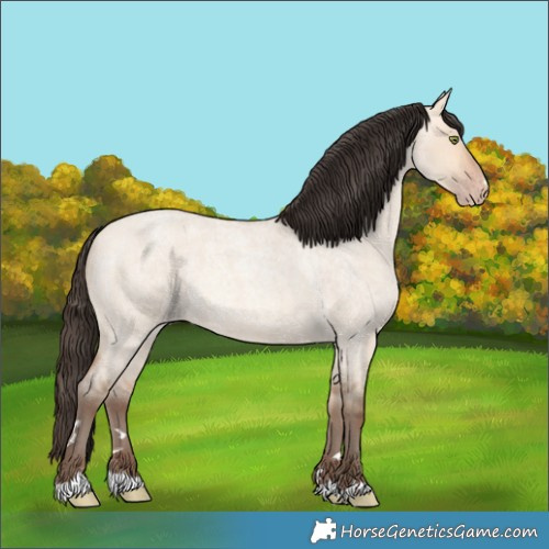Horse Color:Amber Champagne Roan Dun 