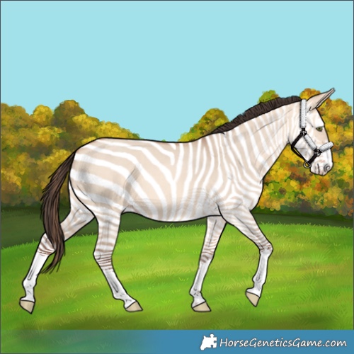 Horse Color:Amber Champagne Dun