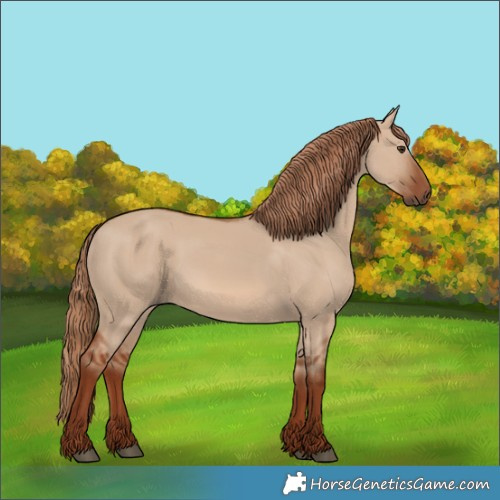 Horse Color:Red Dun 